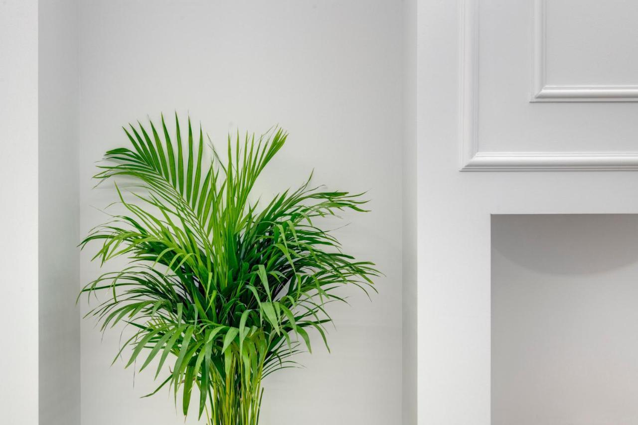 Amare Boutique Suites 埃尔莫波利斯 外观 照片